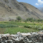 Neat fields of wheat, potatoes and vegetable gardens were the obvious sign of a subsistence life.