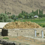 Bundles of straw and hay were stacked on roofs.