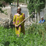 Patches of potatoes, wheat and other grains were cultivated by hand. People were busy working in their fields and gardens.