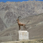 An occasional monument or roadside alter always included the reminders of the Marco Polo sheep, now on the "near threatened” list.