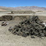 Yak dung or garden waste, whatever would burn was saved for winter fuel.