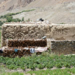 Tajikistan 7 051