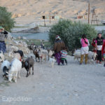 The cool afternoon air of this high mountain valley was already dropping in temperature as villagers brought their goats in for milking. Our truck can be seen in the background.