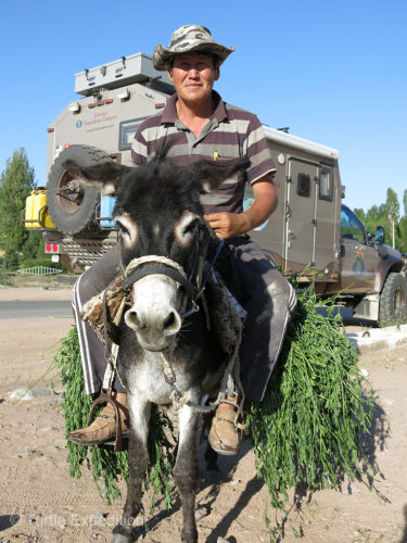 Since Gary had owned a burro when he lived in Mexico as a young boy, he always has a soft spot for these work animals of the world.