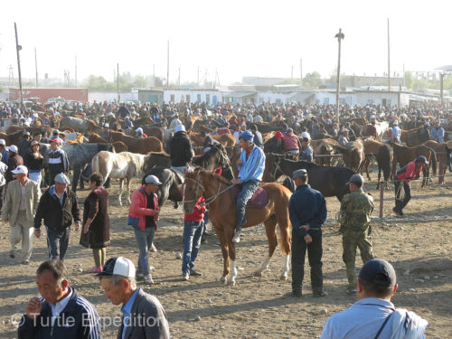 We visited the second largest animal market in Central Asia in the Kygyz town of Karakol on Lake Yzyk Köl.