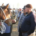 Serious horsemen discuss the virtues of the animals for sale.