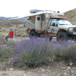 Kyrgyzstan 2014: At our camp above Lake Yssil-Kul, we were surrounded by Russian sage.