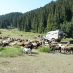 Our only neighbors at our camp in the Karakol Valley National Park were sheep, goats and horses.