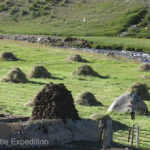 There was little sign of mechanical harvesters. All this grass or wheat was cut by hand with a scythe and hand loaded on the truck.