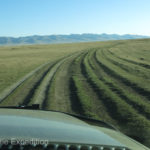 At a junction towards the lake, the road turned into a set of well used ruts.