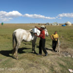 Horses are well cared for. This one gets a bath with water from a spring-fed hand pump.