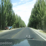 Where there is water there is life. We entered the Hotan area through an avenue of beautiful popular trees.