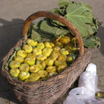 A basket of ripe figs.