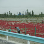 Some roadside color for a change. Locals were drying chilis right on the ground.