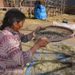 These winnowing baskets were both unique and beautiful.