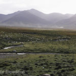Herds of sheep grazed in the tundra-like valley with many white yurts just visible in the background.