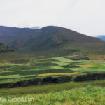 Neatly laid out fields created a colorful pattern.