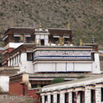 The architecture of Tibetan Buddhist temples, pagodas and houses was very unique.