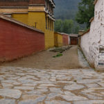 Strolling around the streets and alleys, the colors were fascinating and unique to China.