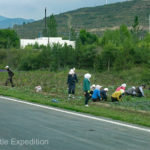 Even the side of the road was a place to plant food.