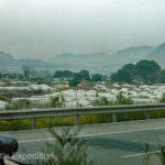 Green houses were becoming more prevalent along the road.