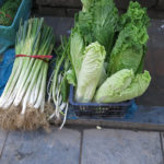 We did not pass up the chance to buy some fresh Chinese cabbage & leek.