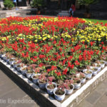 There were many colorful flower beds in the park adjacent to the entrance of old Pingyáo.