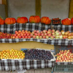 We did pick up some apples, plums and grapes for the road.