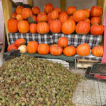 Stacks of a new crop of walnuts were ready for the messy job of shucking.