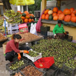 These women had plenty to do shucking walnuts.