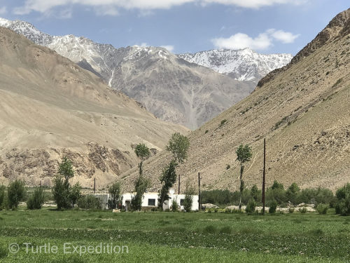 At an altitude of 10,000 feet, potatoes, carrots and wheat are the only crops that are being grown. No fruit trees and no vegetable patches. Wild bees but no honey bees survive.