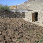 In the winter, it may be the only source of heat for cooking and warmth in addition to the small amount of wood they can gather in this almost treeless land.