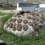 The drying of cow, sheep and goat dung is an important summer chore.