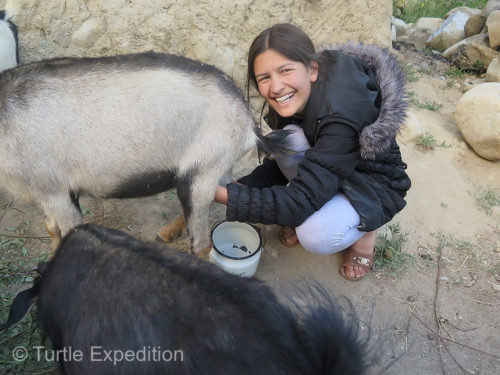 Masha’s ability to transition from herding and milking goats to a city life and a very demanding education program was remarkable. Yes, she still knows how to milk goats!