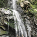 Monika celebrates her birthday standing underneath a waterfall in the jungle.