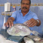This man sold us some freshly caught trigger fish, one of our favorite reef fish from the Pacific coast of Mexico.