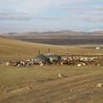To our surprise, we came upon a ger (yurt) camp right next to the "main highway".