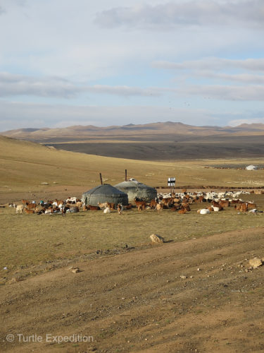 To our surprise, we came upon a yurt camp right next to the "main highway".