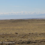 Snowy mountains loomed in the distance and we wondered how much of that we would need to drive through to reach Olgii.