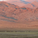 This treeless land is sheep country. We enjoyed this view from our first camp heading west out of Ulaanbaatar to Olgii.