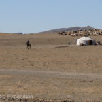 We had stopped for lunch when this young shepherd raced across the field to check us out.