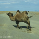 Mongolia Blog 3 027