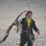 This golden eagle had just captured a (dead) rabbit that had been drug at high speed behind her master’s horse.