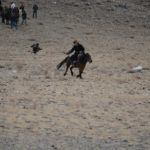 Diving at speed over 150 miles per hour, the Golden Eagle breaks at the last moment and with sharp talons extended, she lands on the outstretched arm of her trainer who is galloping at full speed across the playing field.