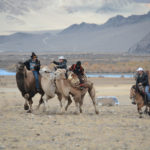 The camels didn't seem too enthused to have to race across the desert.