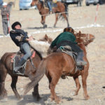 After close inspection, it was interesting to notice that none of these Mongolian ponies had horseshoes of any kind.