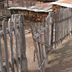 Russian villages in the Altai have a pleasant rustic look to them. Sort of functional hominess of country living.