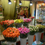 We are never sure where they came from but it seems like Russians in Siberia love flowers, especially in the wintertime.