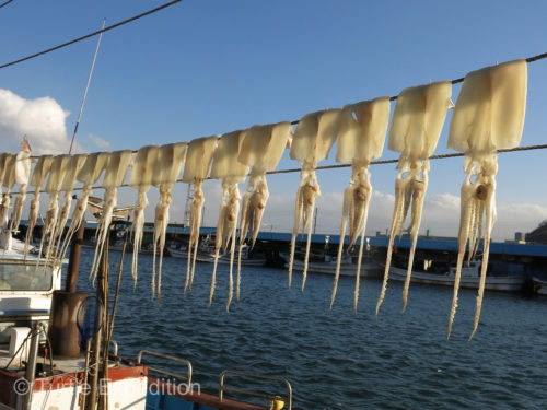 Squid are drying in the cold winter air.