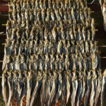 Dried fish for sale.